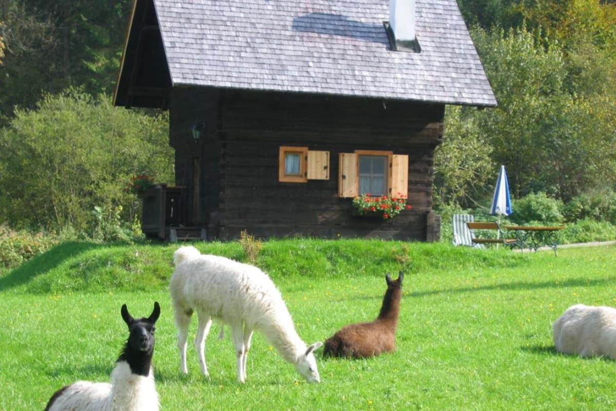 Huette Zum Verlieben Gurk Luaran gambar